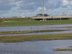Meer plasdrasgebieden in Friesland