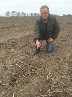 De lente kan beginnen Eerste Drentse kievitsei gevonden