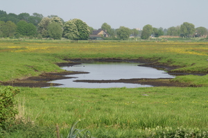 100ste Plas-Dras pomp voor weidevogelboer Jelte Bakker