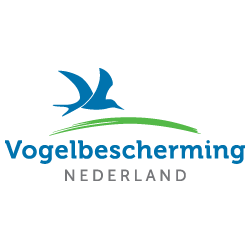 Fonds opgericht om weidevogelgebieden duurzaam veilig te stellen